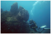 Dive trip in the villa La Lady in Les Anses d'Arlet