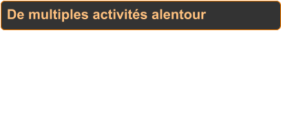 De multiples activités alentour Sans aller très loin, les activités culturelles (Savane des esclaves, Musée de la banane, Musée du coquillage,…), touristiques (maison du bagnard, sources d’eau ferrugineuse, Mémorial de l’Anse Cafard, rhumeries, ballades en mer,…) et sportives (plongée subaquatique, snorkeling, golf,…) permettent déjà de s’occuper tout un séjour. Quelques idées sont donnés ci-dessous.